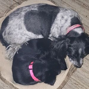 Meet your Posher, Julie